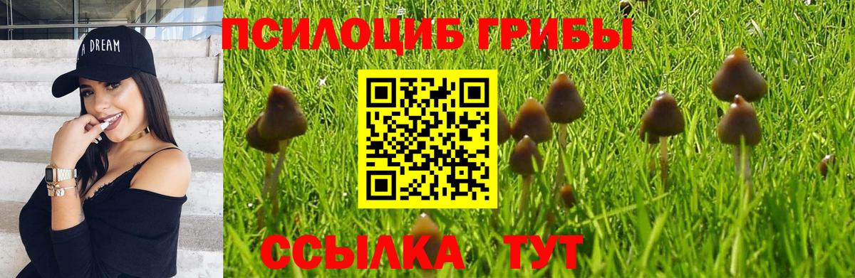 Псилоцибиновые грибы мицелий Волжский